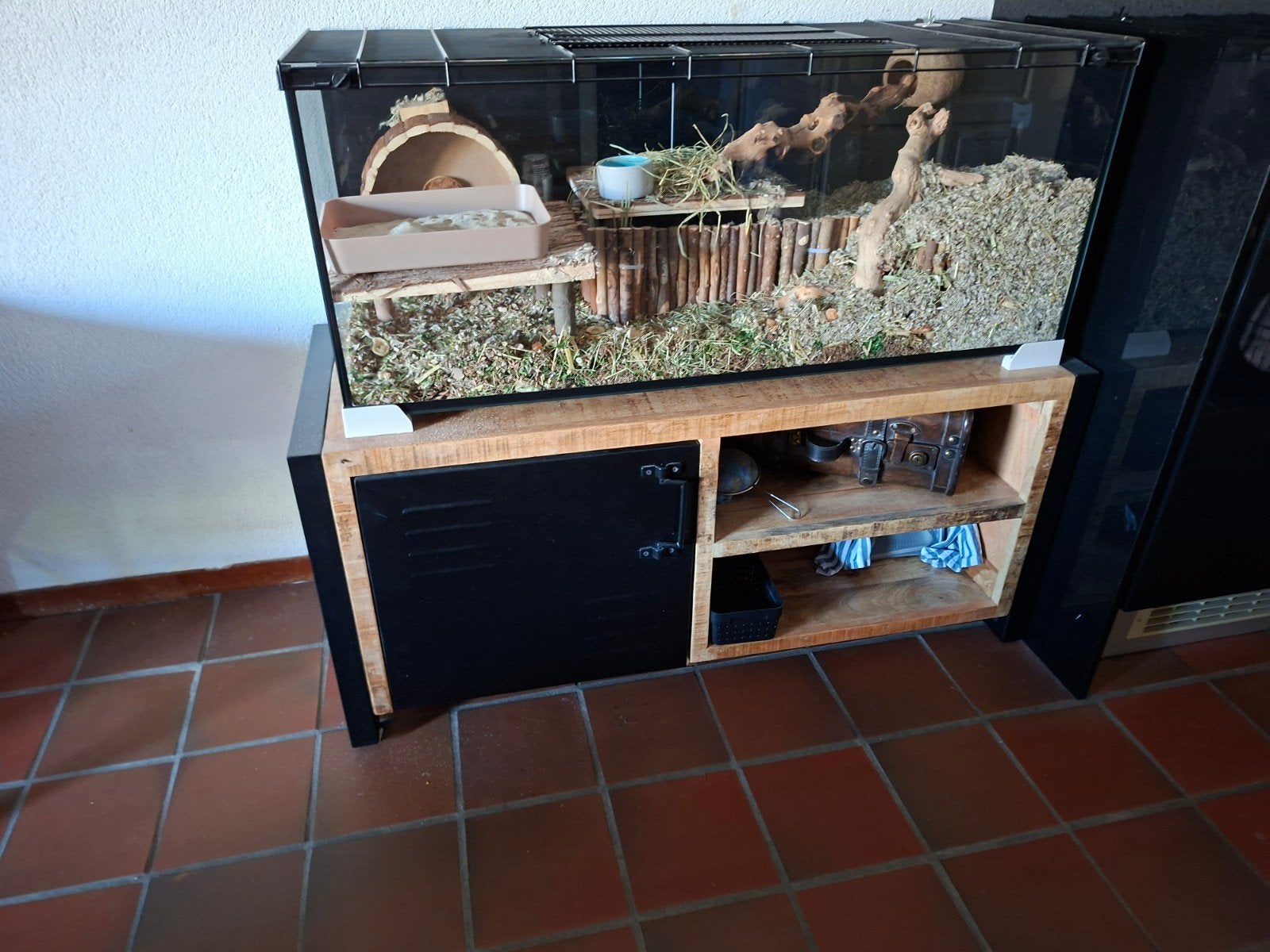 2 gerbils met bak van 1 meter, Februari, Mannelijk
