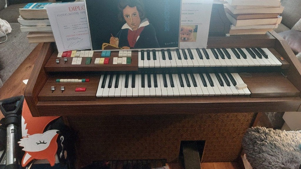 Orgel, Muziek en Instrumenten, Orgels, Ophalen, Gebruikt, 2 klavieren, Orgel
