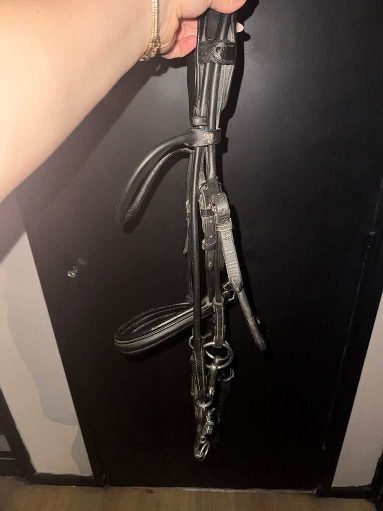 Stang en trens hoofdstel full, Dieren en Toebehoren, Ophalen of Verzenden, Gebruikt, Dressuur