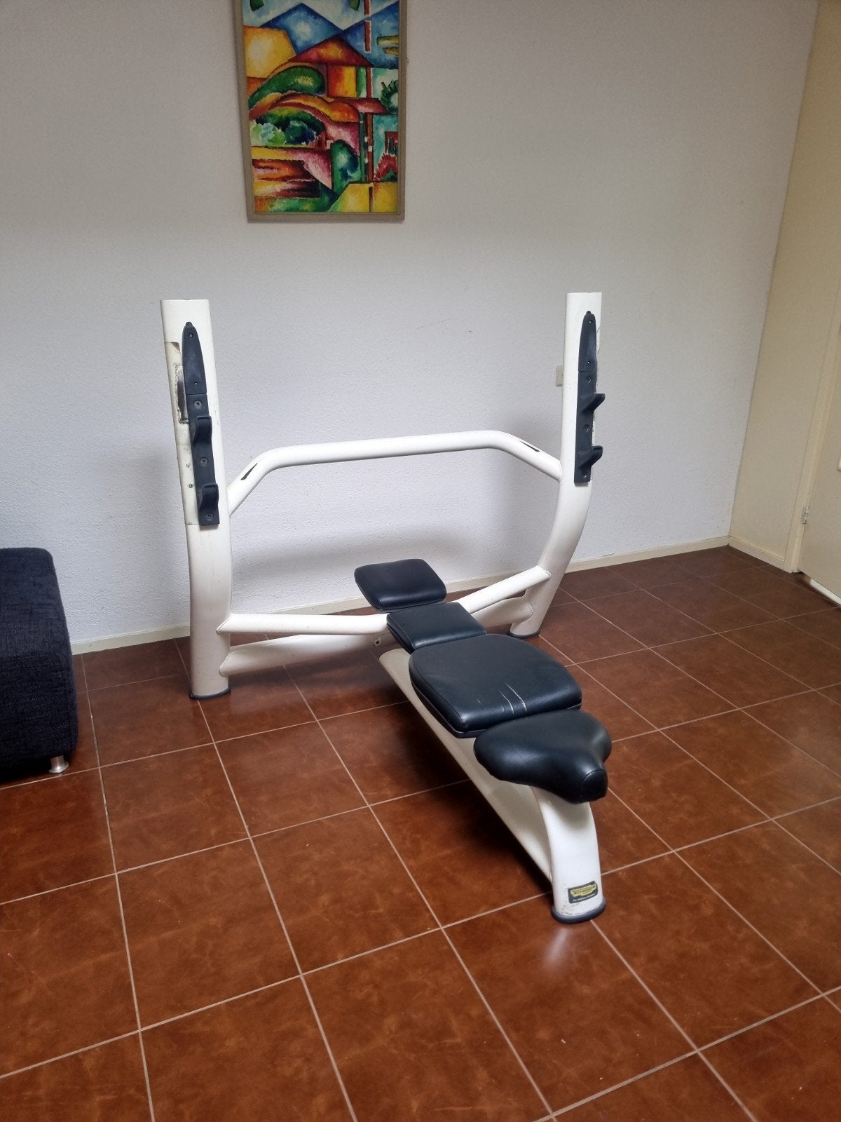 Technogym olympic flat bench, Ophalen, Gebruikt, Benen, Overige typen