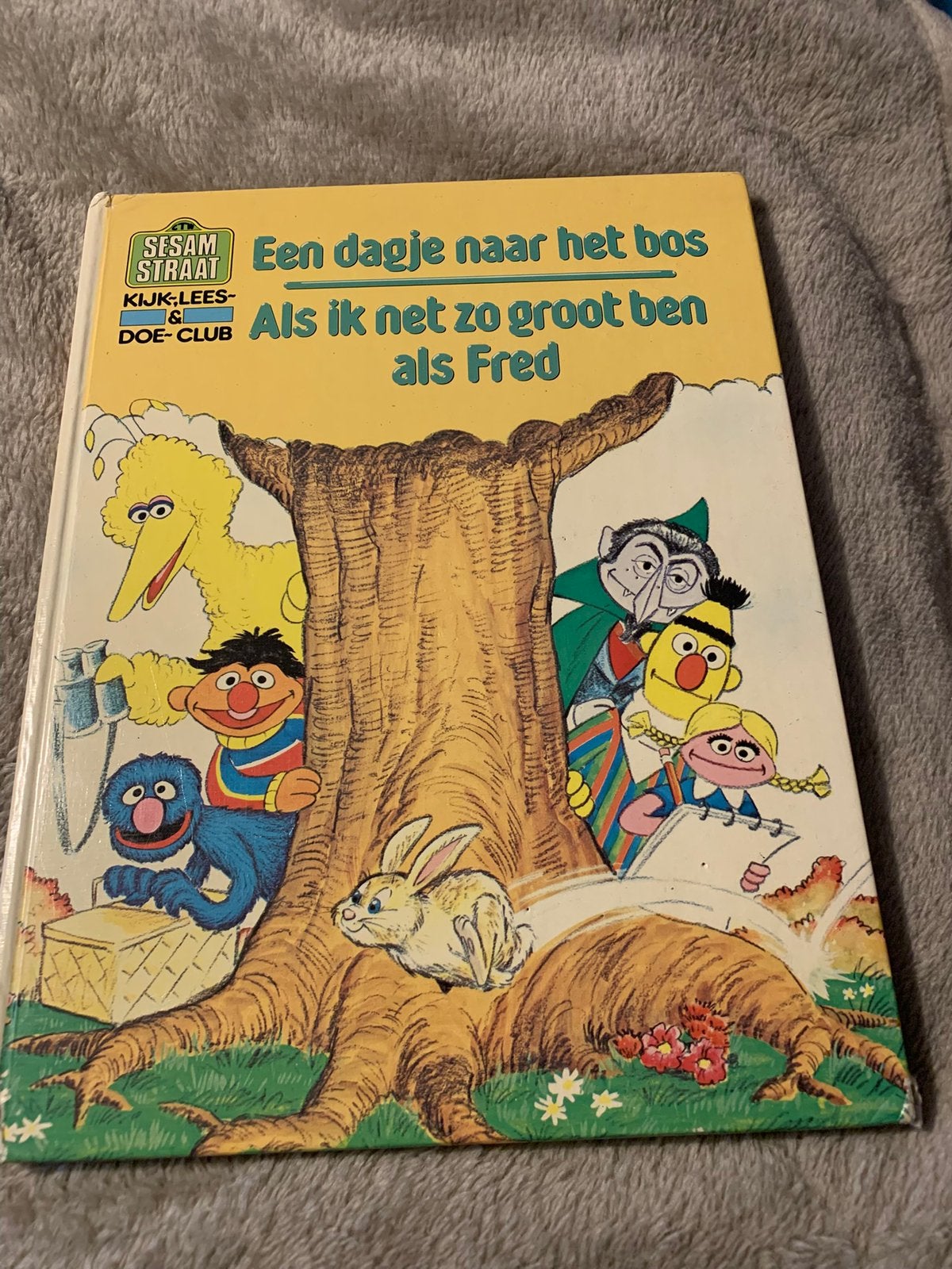 Sesamstraat Boeken, Boeken, Ophalen of Verzenden, Zo goed als nieuw