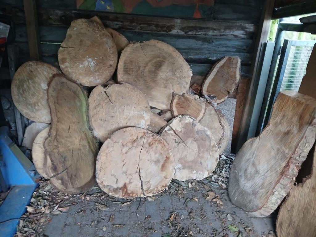 Houten schijven in diverse maten - Decoratief hout, Doe-het-zelf en Verbouw, Hout en Planken, Gebruikt, Overige typen, Ophalen of Verzenden