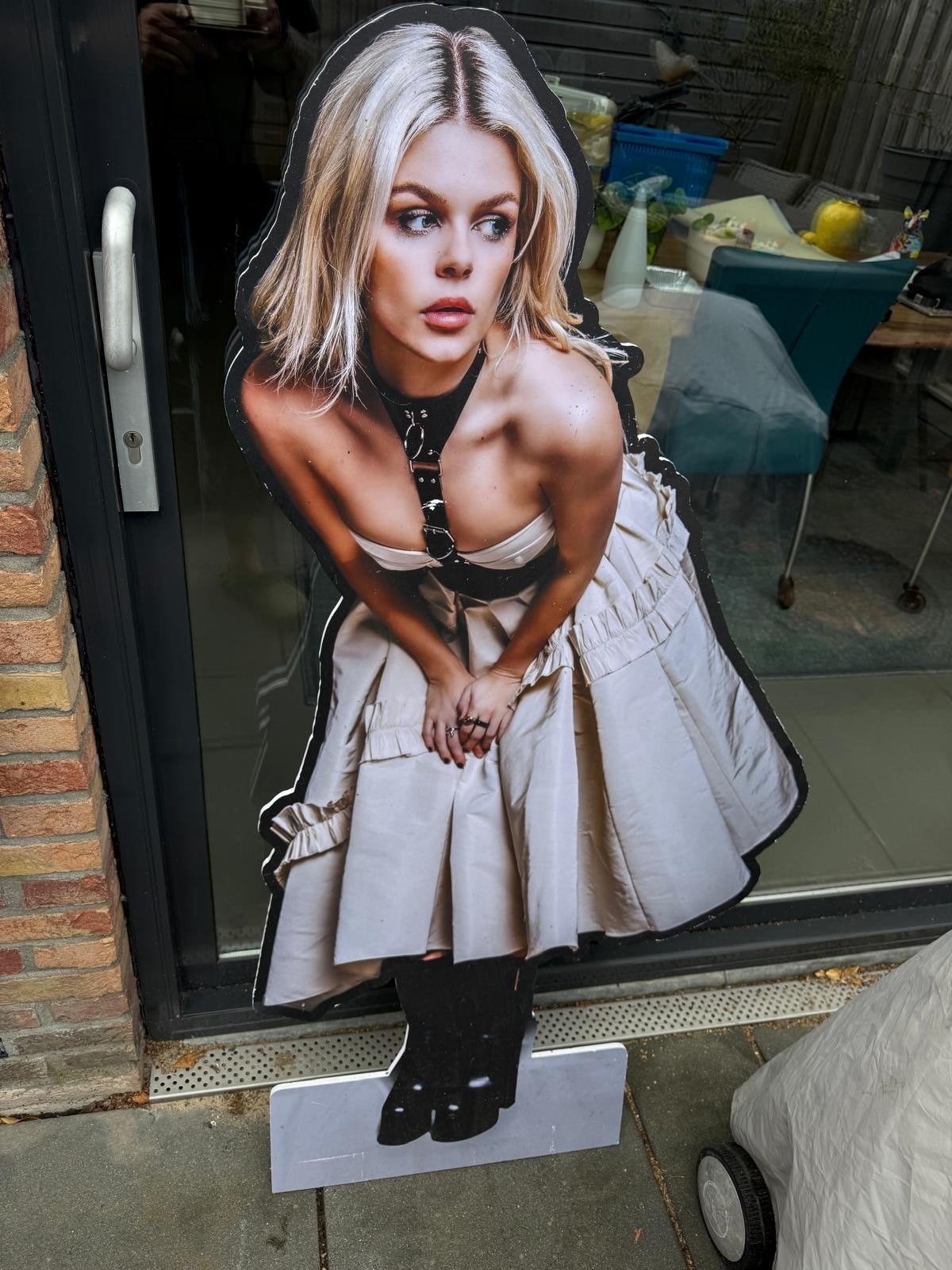 Life‑size Kartonnen Bord – Davina Michelle, Verzamelen, Ophalen, Nieuw, Poster, Artwork of Schilderij