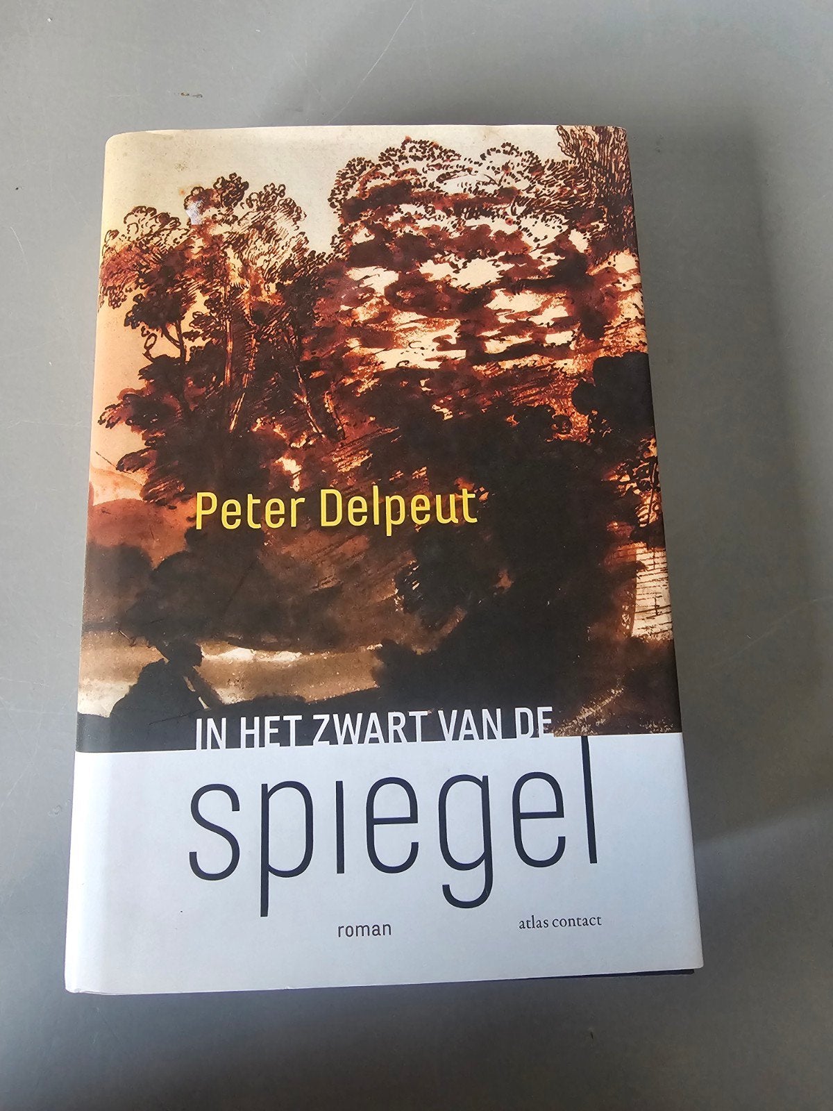 Peter Delpeut - In het zwart van de spiegel, Boeken, Ophalen of Verzenden, Zo goed als nieuw, Peter Delpeut