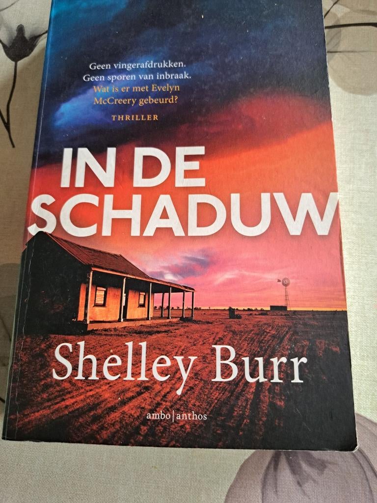 Shelley Burr - In de schaduw, Boeken, Thrillers, Zo goed als nieuw, Ophalen of Verzenden