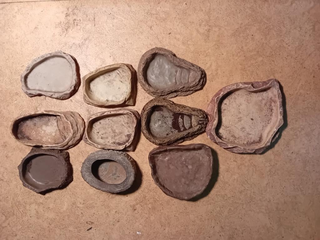 10 water/voederbakjes., Dieren en Toebehoren, Reptielen en Amfibieën | Toebehoren, Ophalen, Tak, Plant, Rots of Steen
