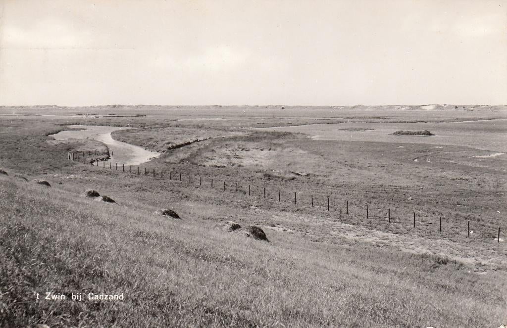 Cadzand   -   't Zwin                         =0011=, Ophalen of Verzenden, 1960 tot 1980, Gelopen, Zeeland