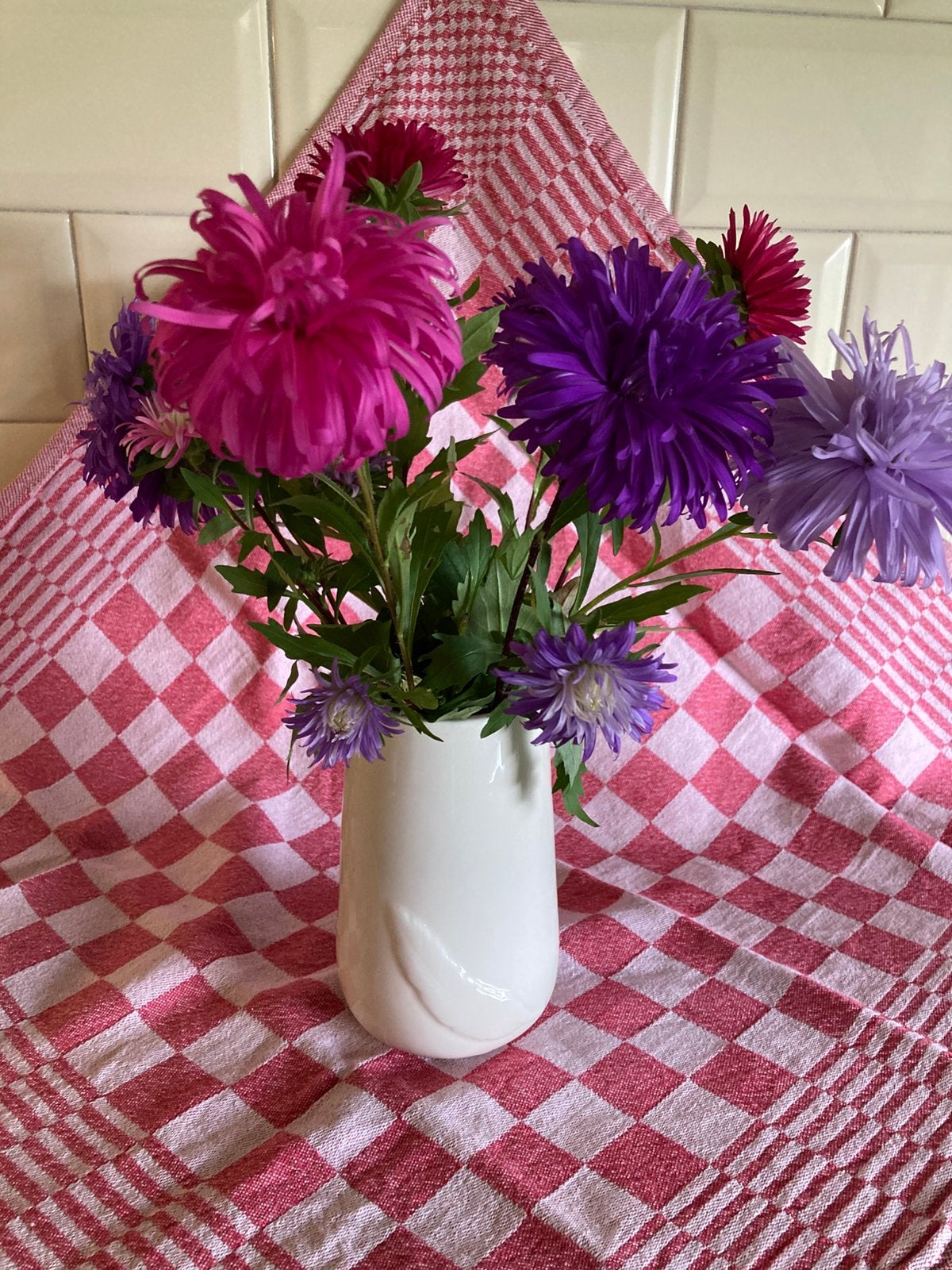 Asters, Ophalen of Verzenden