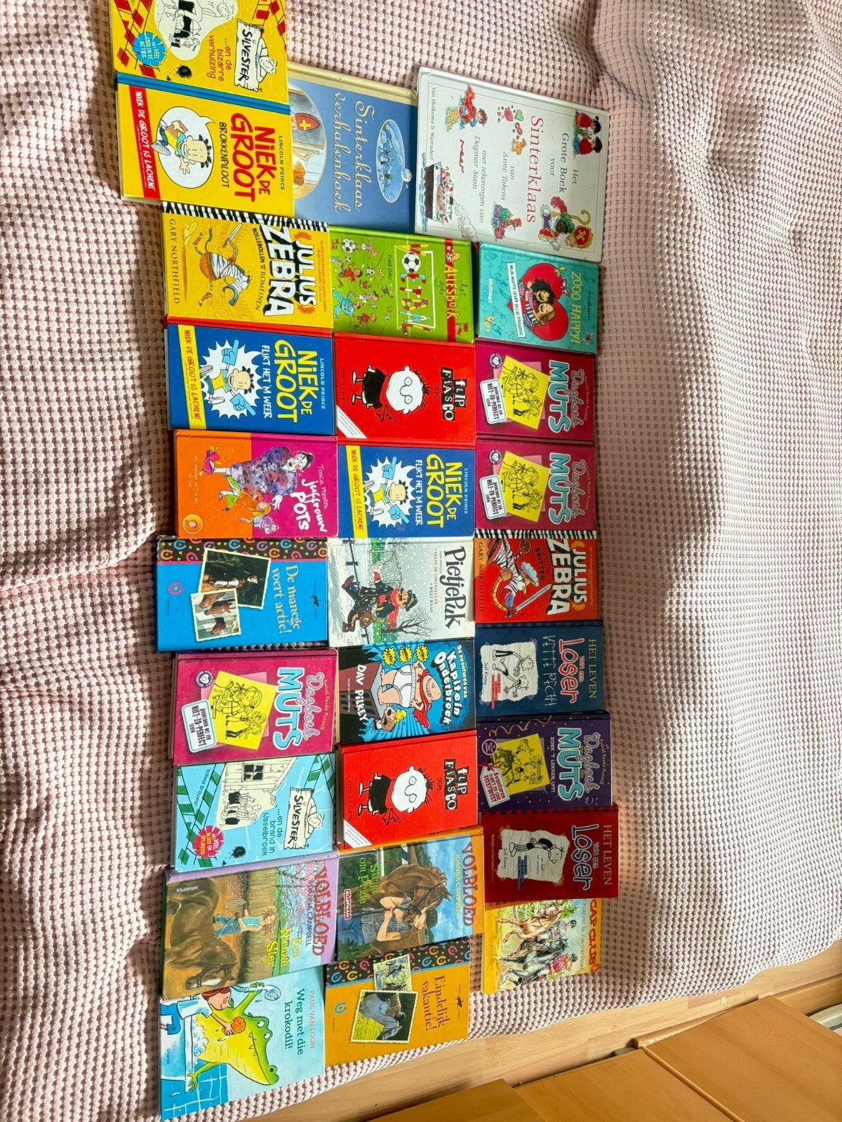 Grote collectie kinderboeken: Niek de Groot, Julius Zebra e, Ophalen, Gelezen, Diverse auteurs, Fictie algemeen