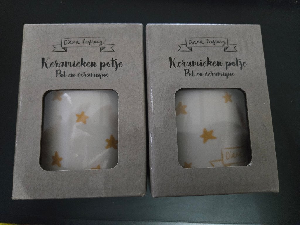 2 stuks Diana Leeflang" keramieken potjes, Nieuw, Ophalen