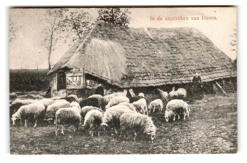 Doorn, In de omstreken van Doorn, Verzenden, Voor 1920, Gelopen, Utrecht