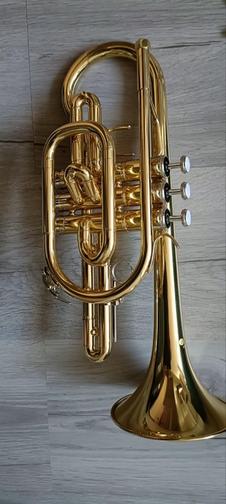 Forte Bes-cornet, nieuwstaat, met mondstukken en dempers, Muziek en Instrumenten, Ophalen of Verzenden, Zo goed als nieuw, Overige typen
