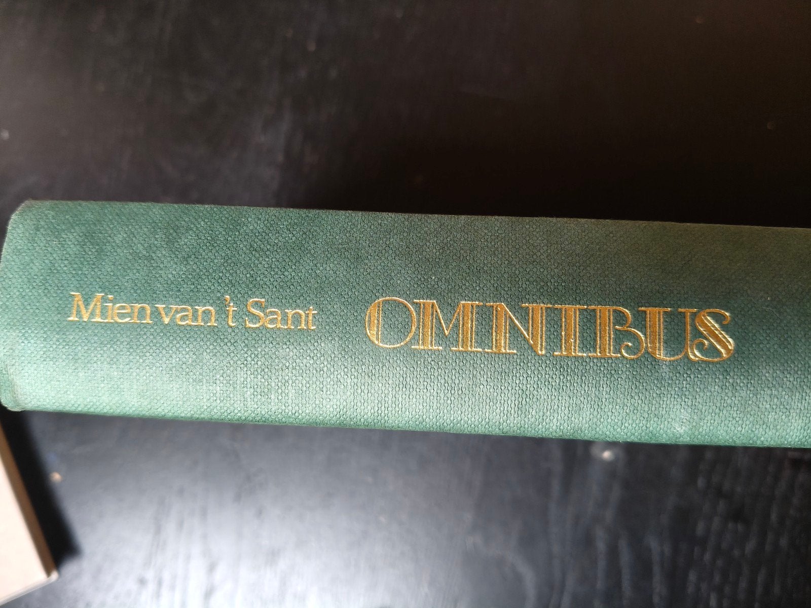 Mien van 't Sant Omnibus - Groene Hardcover Boek, Ophalen of Verzenden, Gelezen, Mien van 't Sant, Nederland