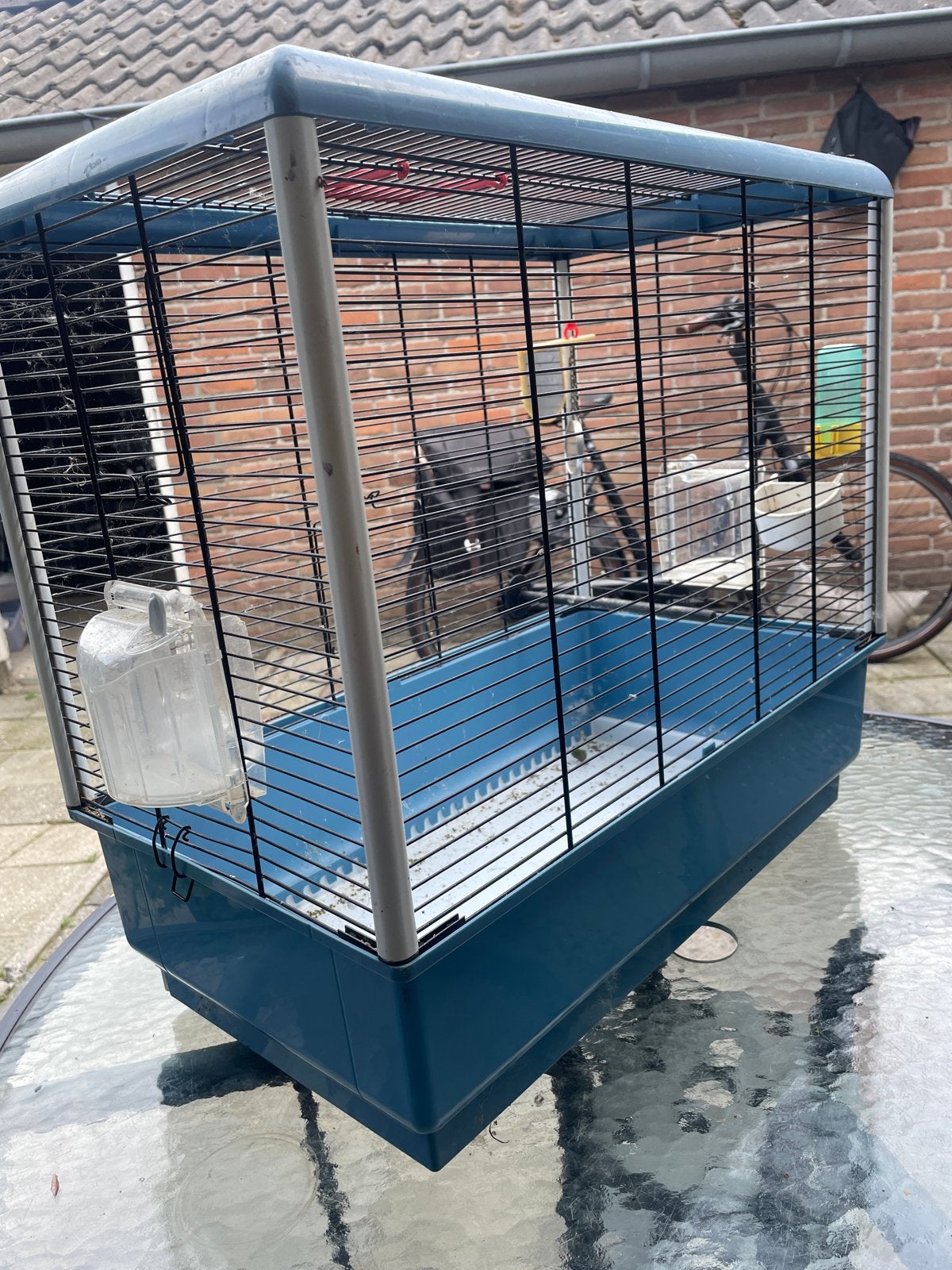 Mooie vogels kooi, Ophalen of Verzenden