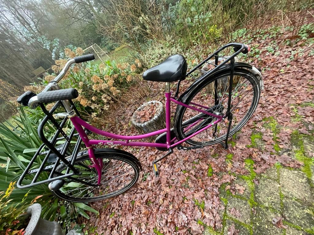 BSP Damesfiets Paars met Voordrager, Fietsen en Brommers, Fietsen | Dames | Damesfietsen, 50 tot 53 cm, Ophalen, Gebruikt, Overige merken