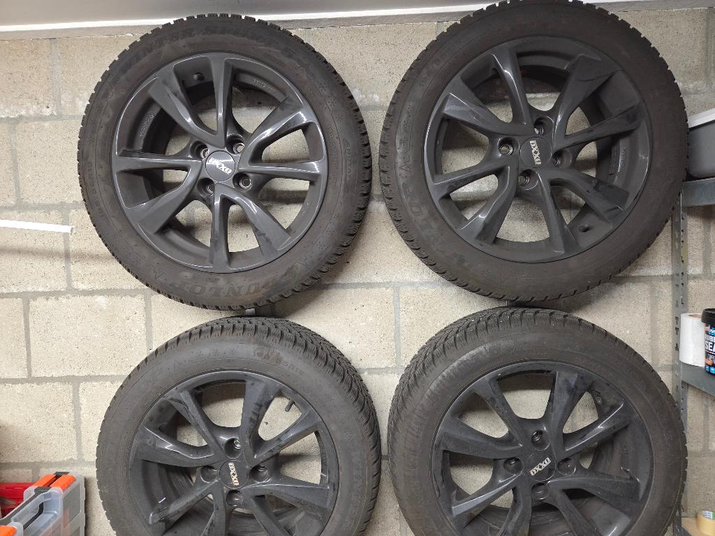 Winterbanden met velg 195/55R16, Auto-onderdelen, Banden en Velgen, Ophalen, Gebruikt, 16 inch, Banden en Velgen
