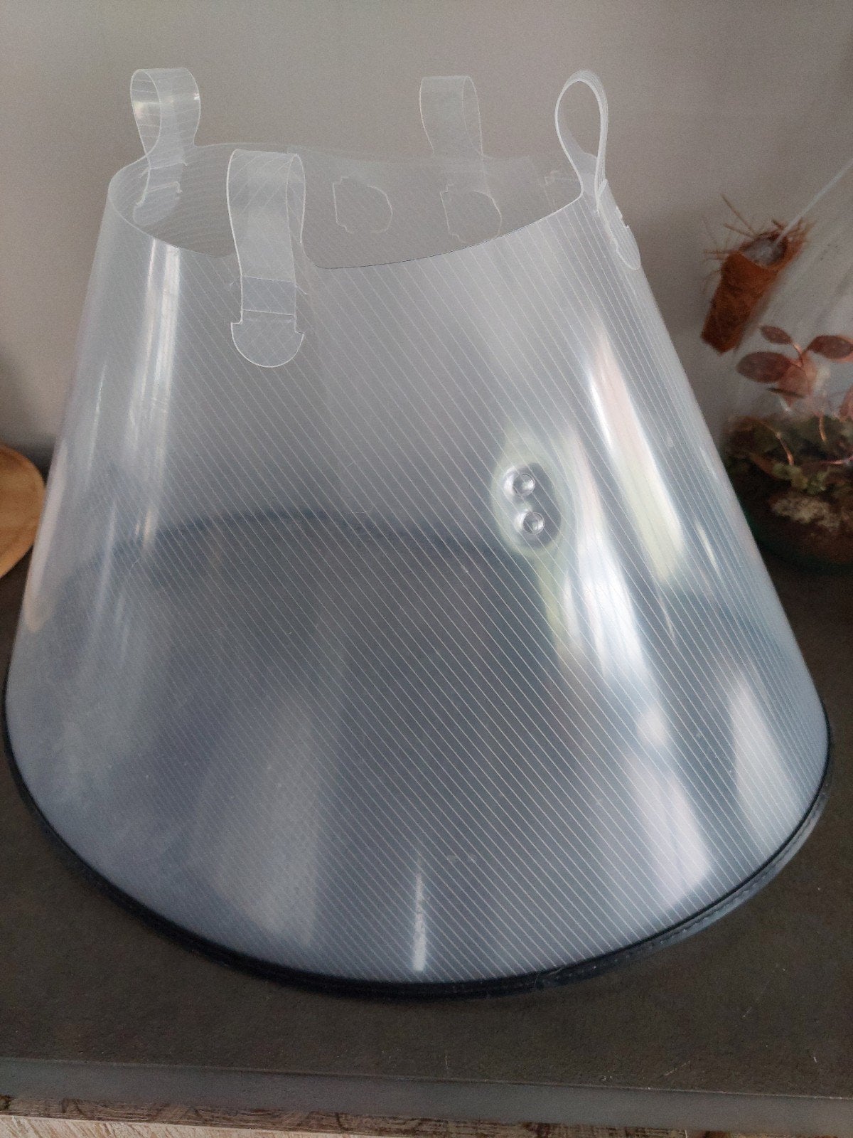 Grote Hondenkap, Dieren en Toebehoren, Honden-accessoires, Ophalen of Verzenden