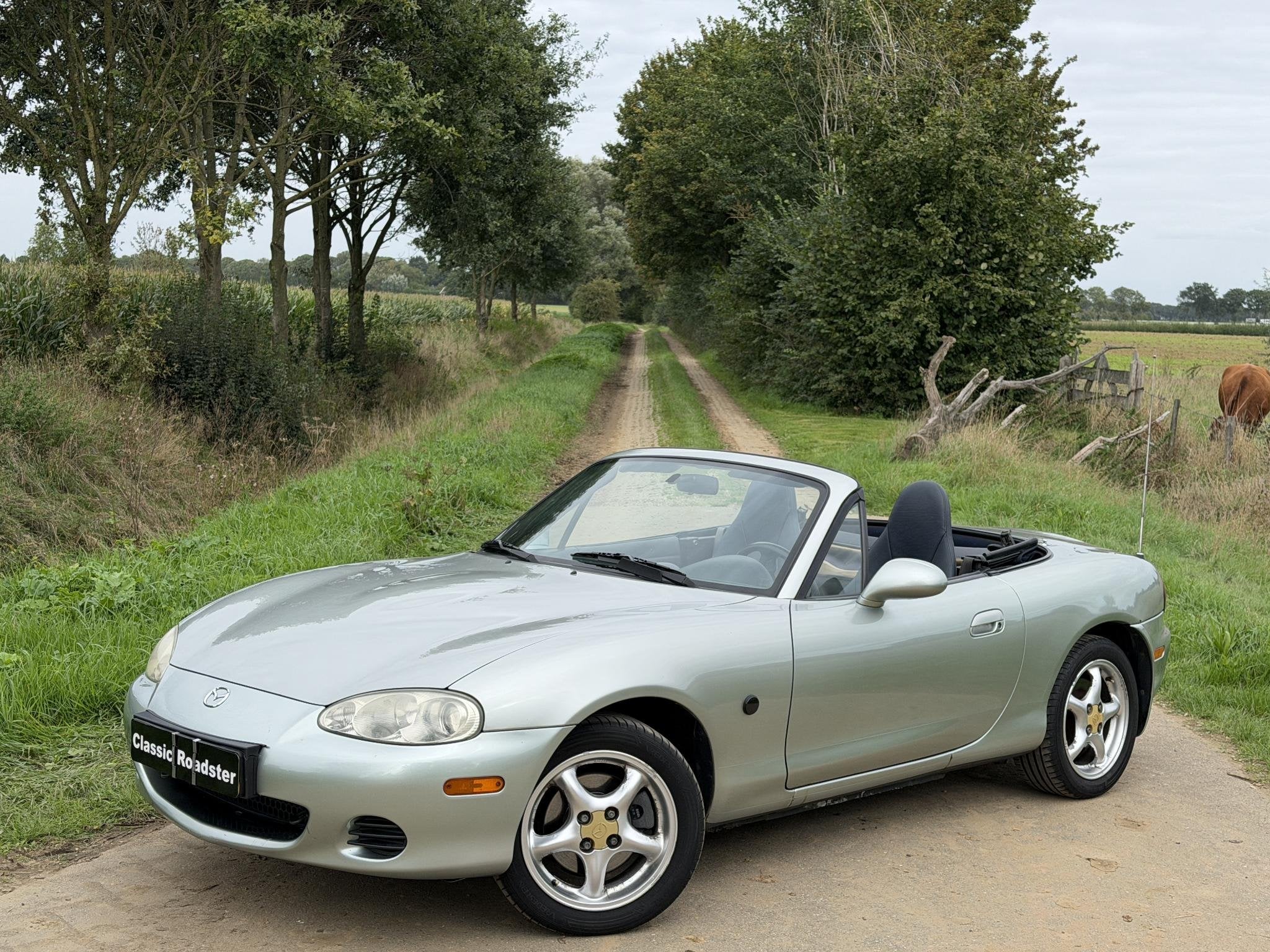 Mazda MX-5 NBFL 1.6i 110PK SILVER BLUES, OPKNAPPER, PROJECT!, Auto's, 4 cilinders, Cabriolet, 1010 kg, Bedrijf