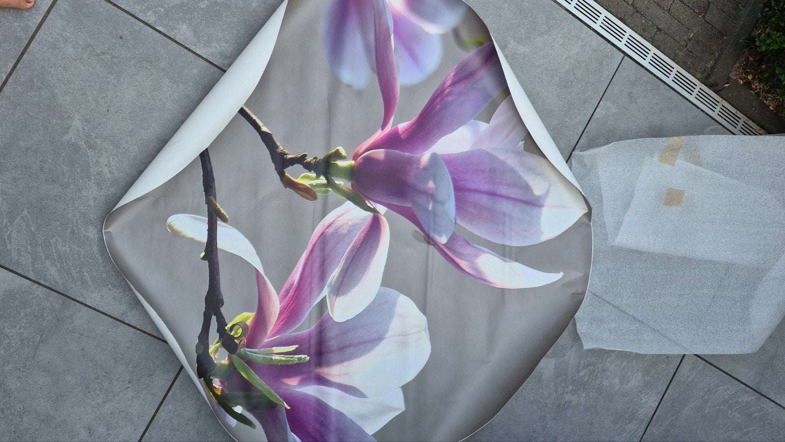 muursticker magnolia 120, Ophalen, Nieuw