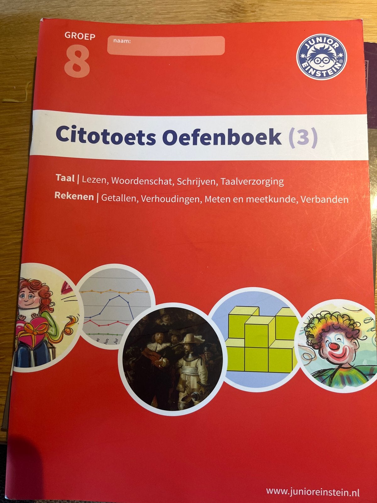 Citotoets Oefenboek Groep 8 Junior Einstein, Boeken, Ophalen of Verzenden, Gelezen, Overige niveaus, Nederlands