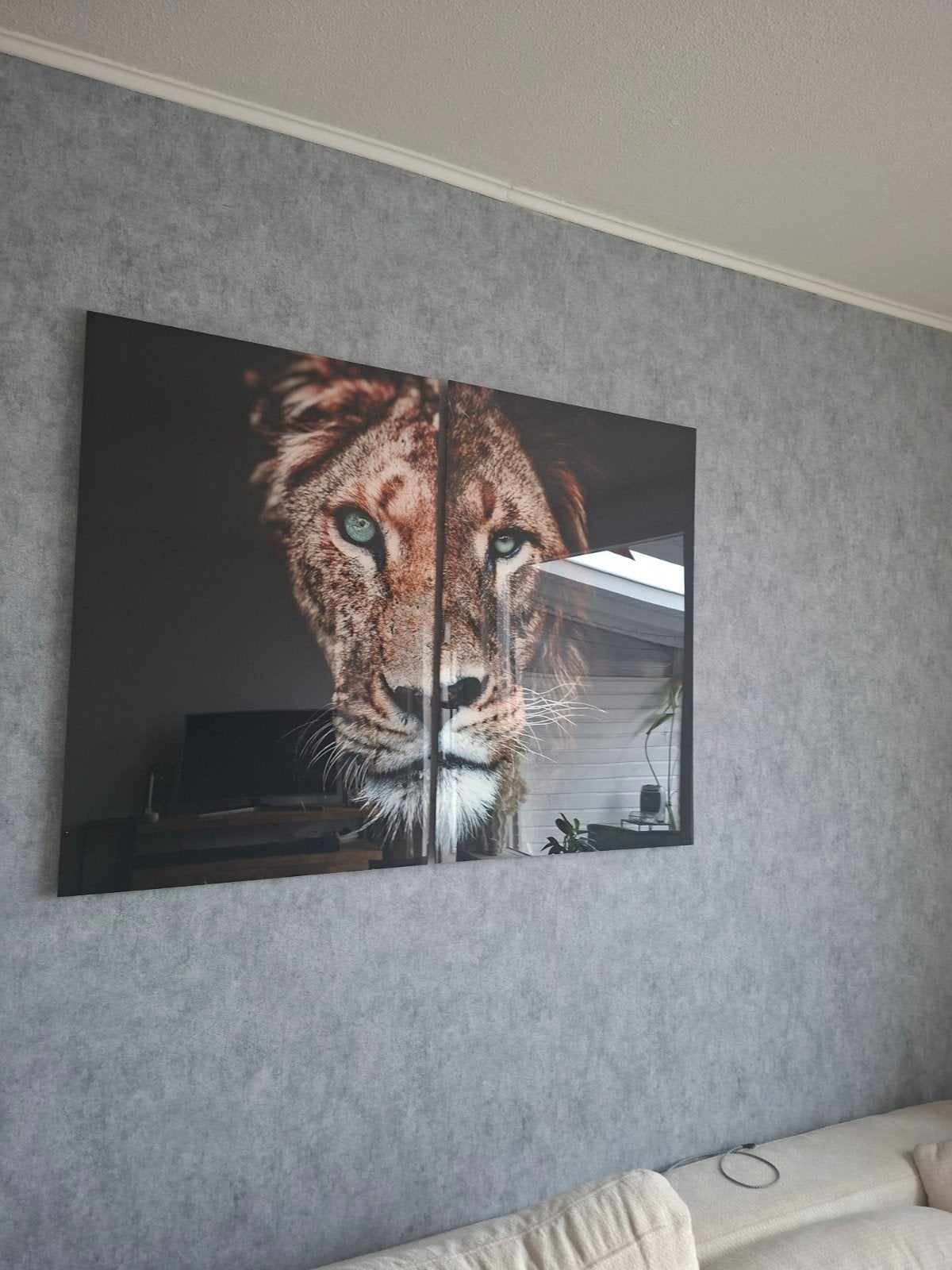 2 Schilderijen Leeuw en Leeuwin 90x60 cm, Ophalen
