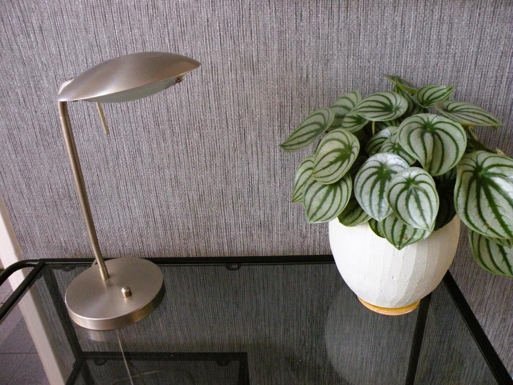 Mexlite tafellamp/bureaulamp geborsteld roestvrijstaal, Ophalen of Verzenden, Zo goed als nieuw, Metaal, Minder dan 50 cm