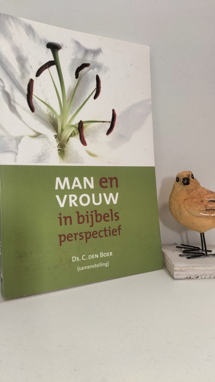 Boer, Ds. C. den; Man en vrouw in Bijbels perspectief, Ophalen of Verzenden, Gelezen, Christendom | Protestants