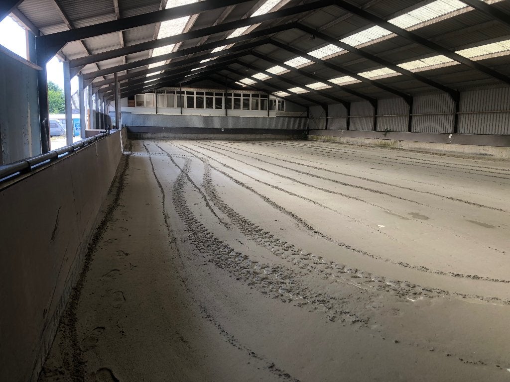 Paardenstalling, Dieren en Toebehoren, Stalling en Weidegang, Stalling, Weidegang, 1 paard of pony
