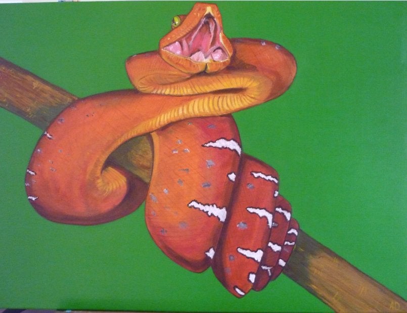 Slang, Acrylverf, Handgeschilderd, Ophalen of Verzenden, Dieren