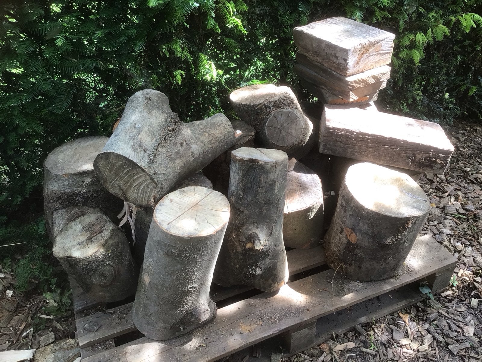 Diverse houtblokken en stammen voor brandhout., Tuin en Terras, Minder dan 3 m³, Ophalen, Overige houtsoorten, Blokken
