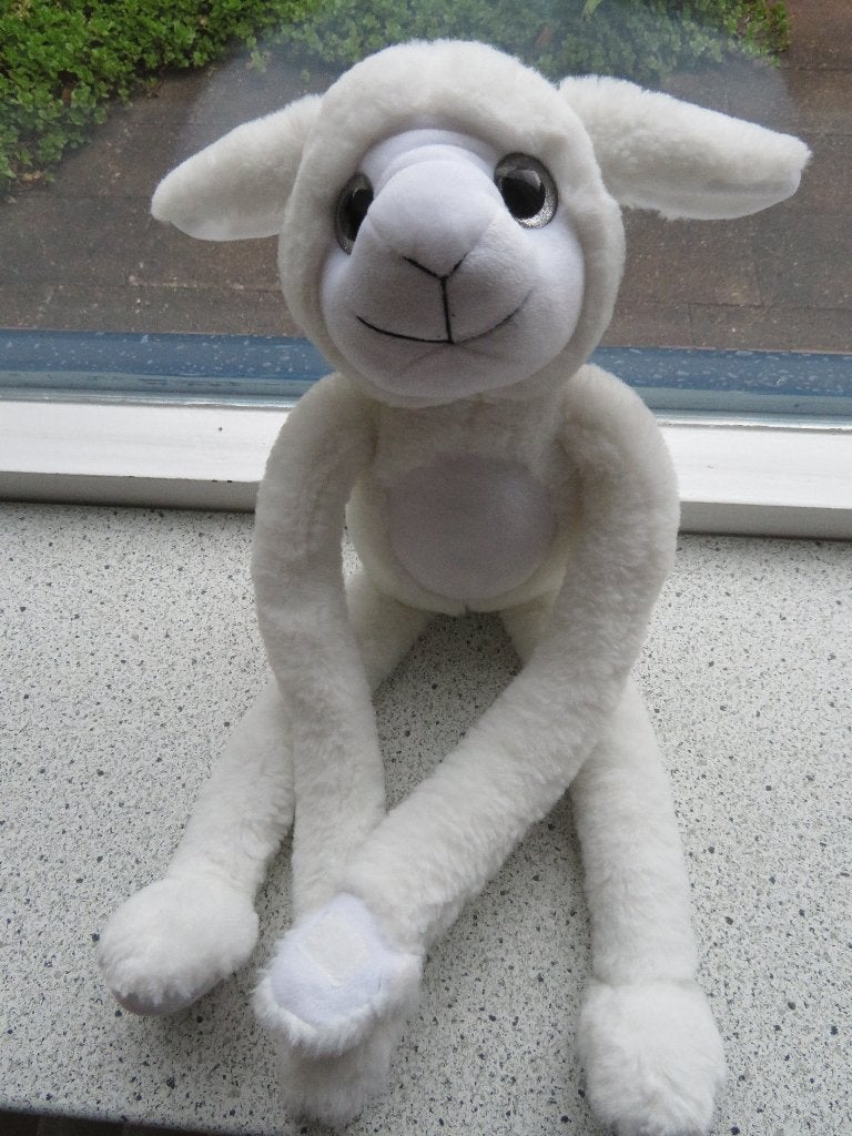 Wit velours schaap merk Toi Toys van Action meet ca 50 cm, Kinderen en Baby's, Speelgoed | Knuffels en Pluche, Overige typen, Ophalen of Verzenden