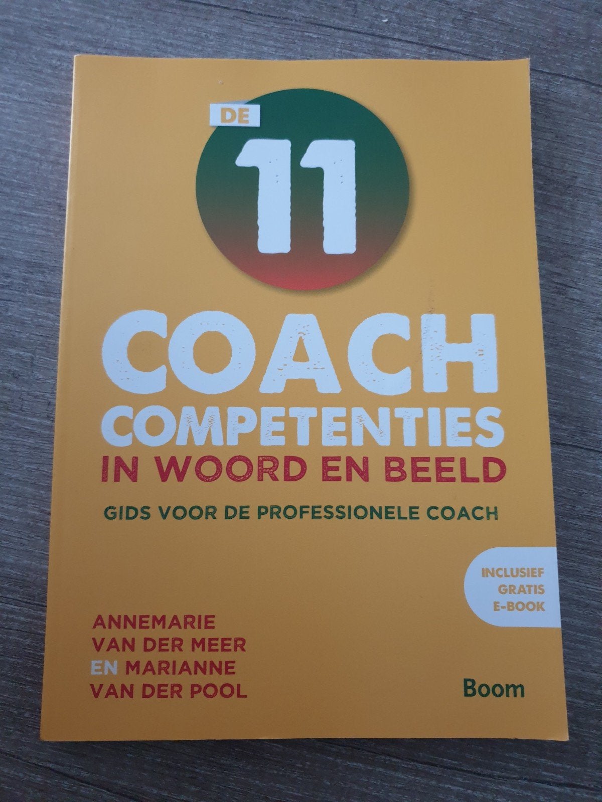 De 11 Coach Competenties: Gids voor de Professionele Coach, Ophalen of Verzenden, Gelezen, Annemarie van der Meer en Marianne van der Pool