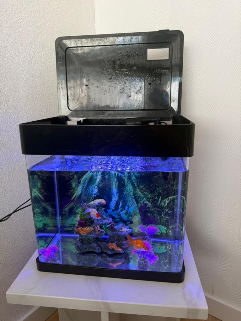 Aquarium, Ophalen of Verzenden, Leeg aquarium