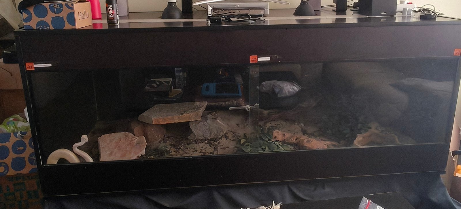 betonplex terrarium 200x80x80 met 2 crotalus atrox, Ophalen, Zo goed als nieuw