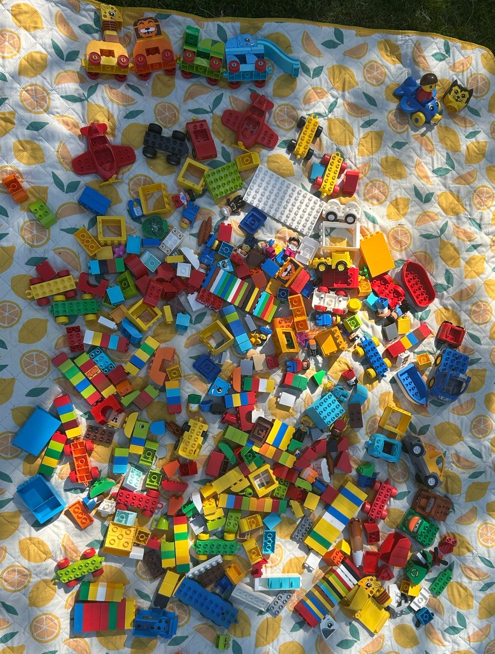 Grote partij Duplo met figuren en voertuigen, Ophalen, Inclusief minifiguren, Gebruikt, Duplo