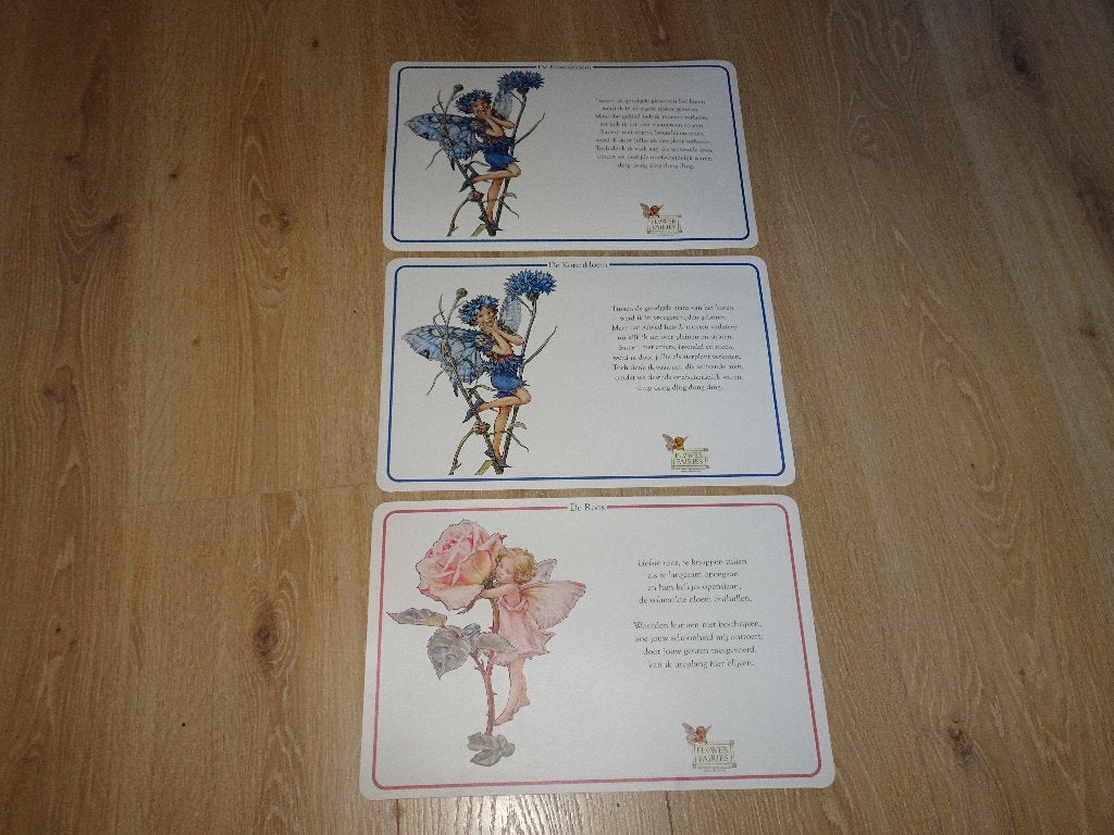 3 Flower Fairies placemats, Ophalen of Verzenden, Nieuw, Wit, Kunststof