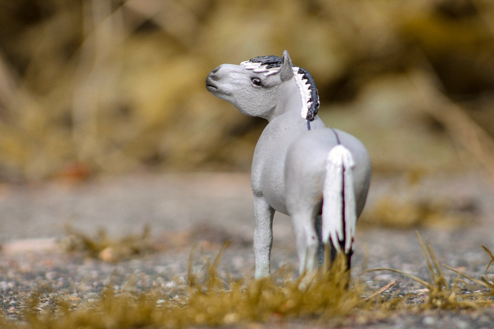 Schleich repaint custom fjord, Ophalen of Verzenden, Zo goed als nieuw, Paard, Beeldje of Figuurtje