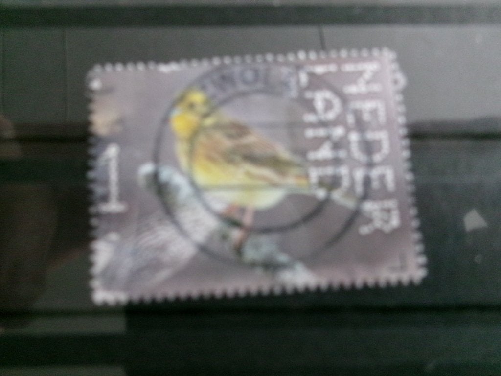 2021 - beleef de natuur geelgors (542c), Ophalen of Verzenden, Gestempeld