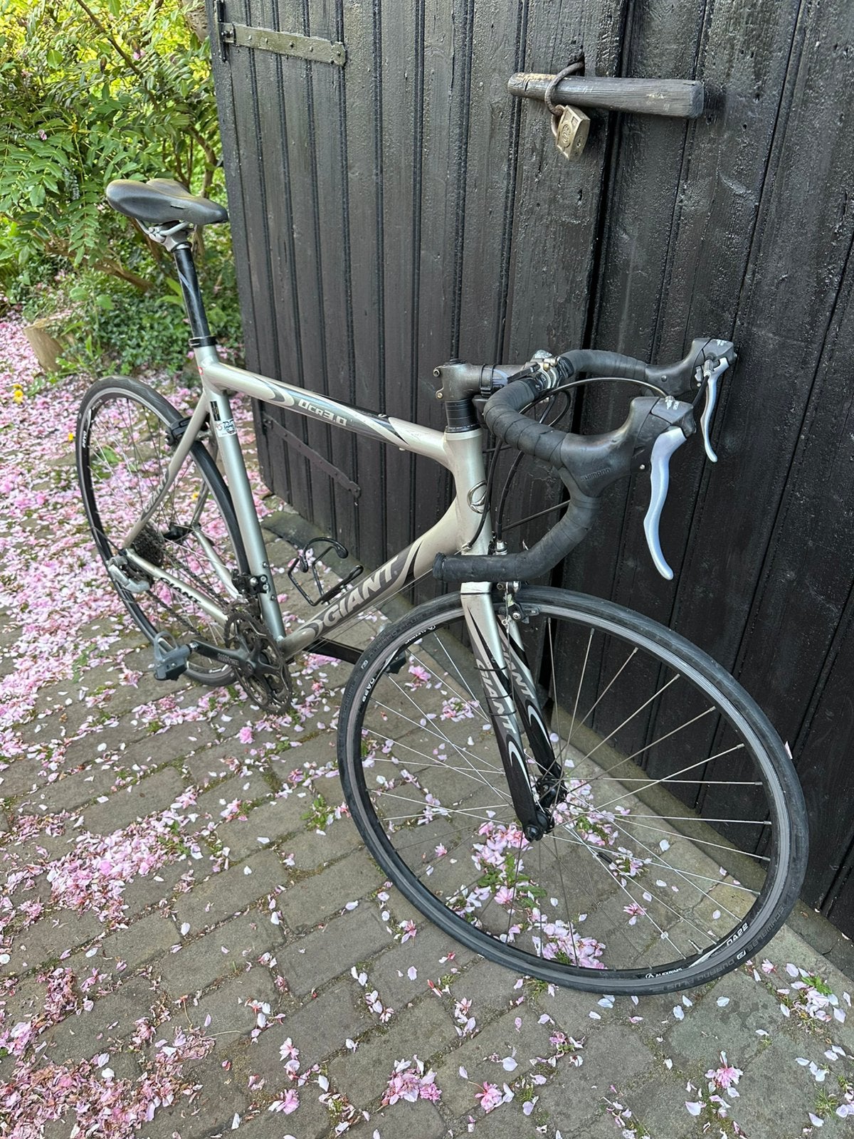 Giant OCR 3.0, Gebruikt, Velgrem, Aluminium, 57 tot 61 cm