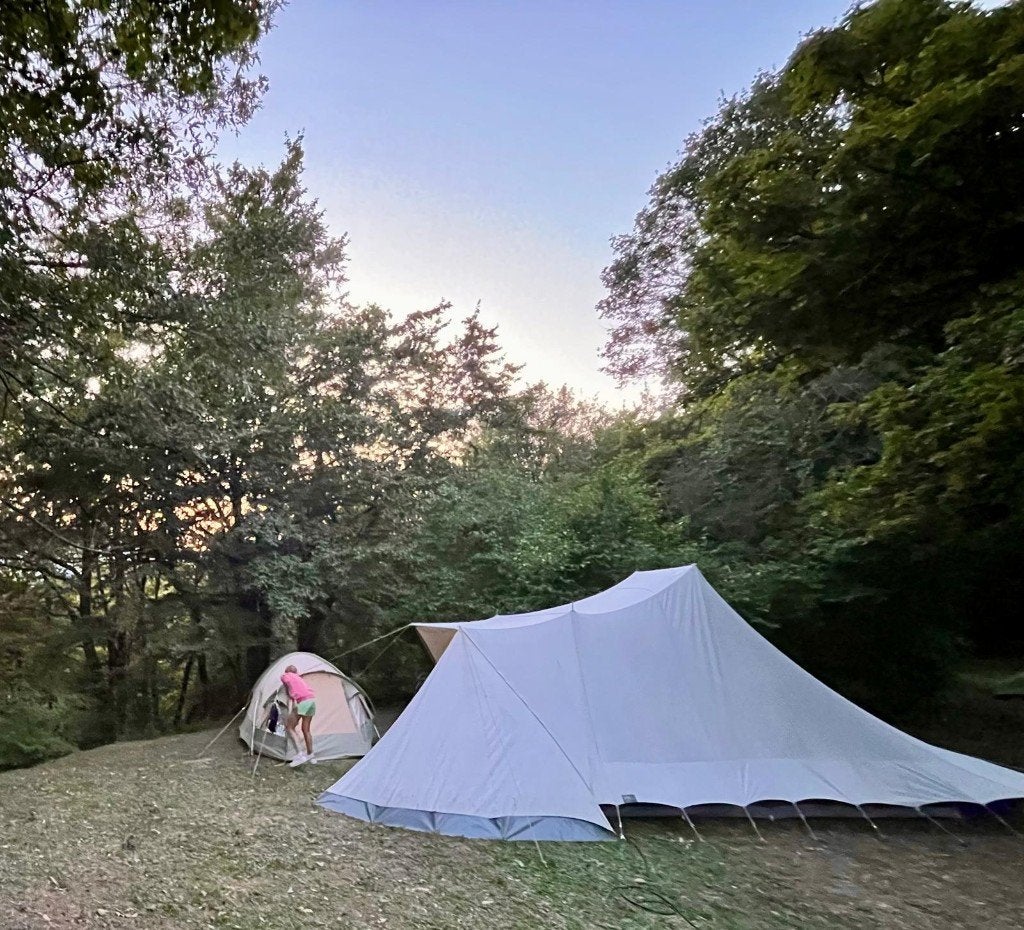 De Waard Zilvermeeuw, Caravans en Kamperen, Ophalen, Gebruikt, Tot en met 4