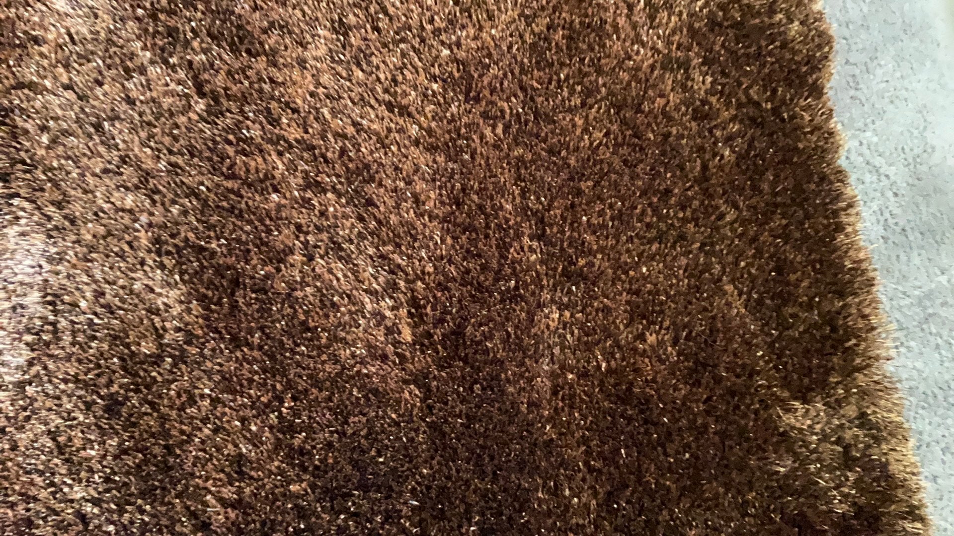 Nieuw Carpetright Vernon vloerkleed 1.60 m bij 2.30 m, Huis en Inrichting, Stoffering | Tapijten en Kleden, Ophalen, Bruin, 150 tot 200 cm