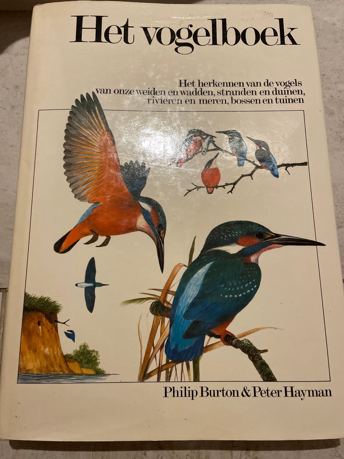 Het Vogelboek - Philip Burton & Peter Hayman, Ophalen of Verzenden, Gelezen, Vogels