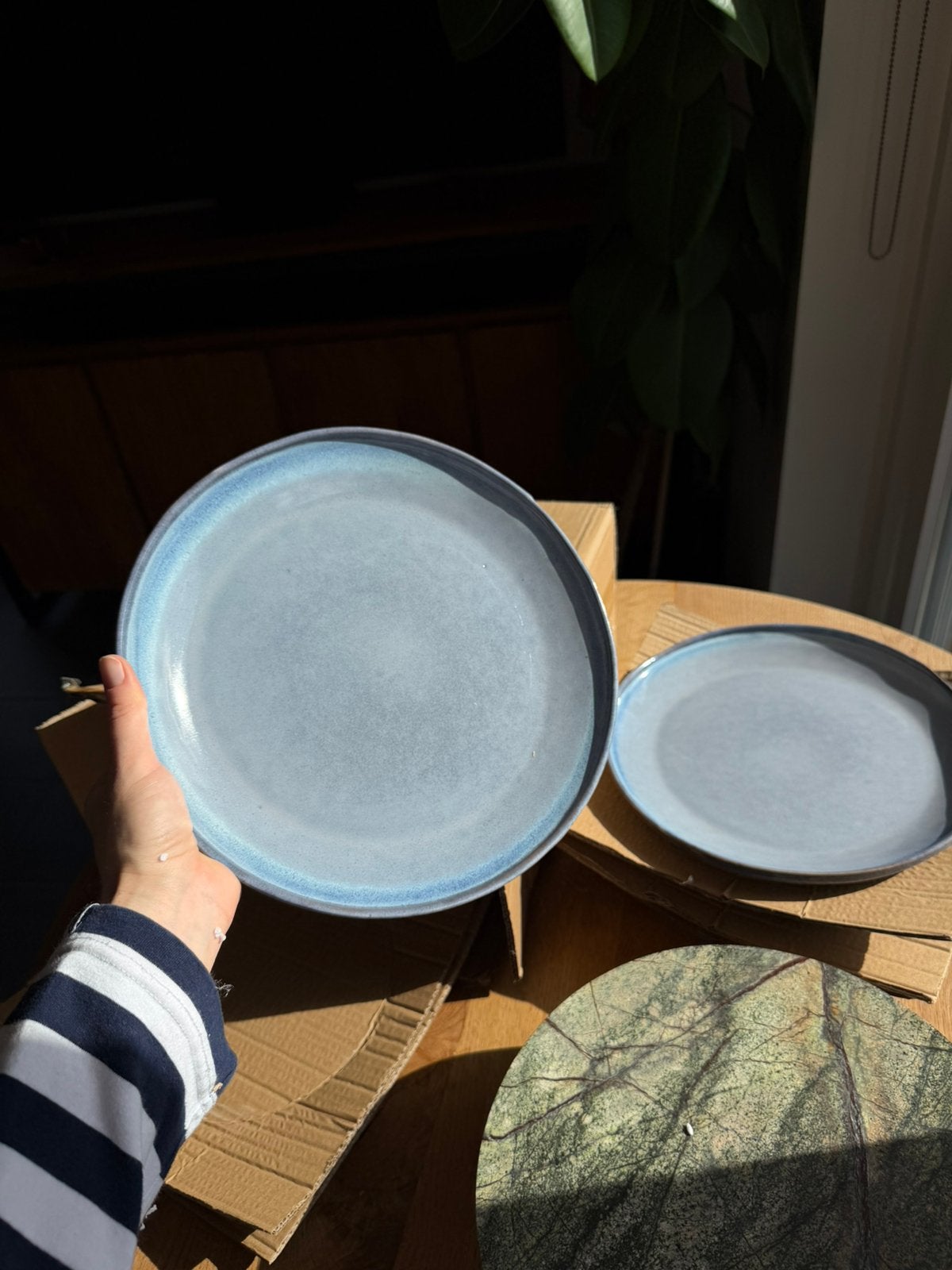 Björn GENESIS Sea dinerborden 27 cm | 6 stuks nieuw, Overige materialen, Nieuw, Ophalen of Verzenden, Bord(en)
