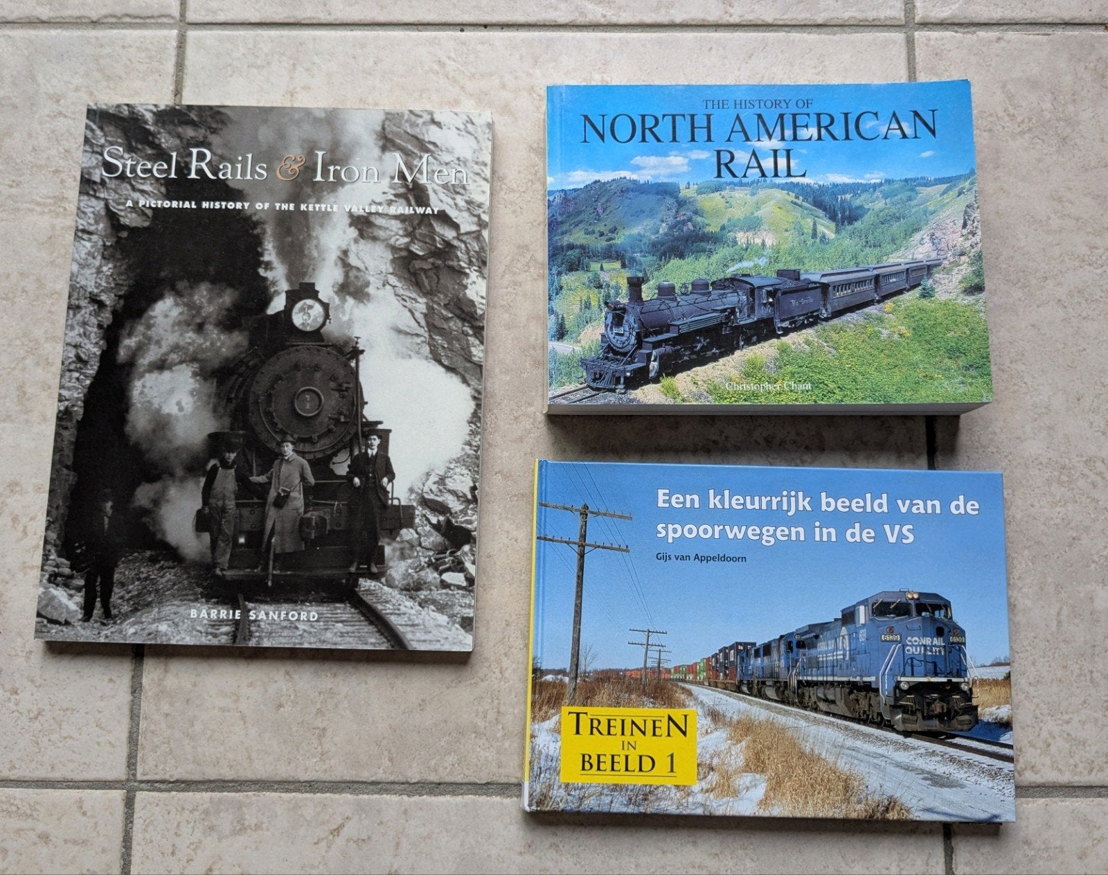 Spoorwegen en treinen in Amerika en Canada, Boeken, Ophalen of Verzenden, Trein