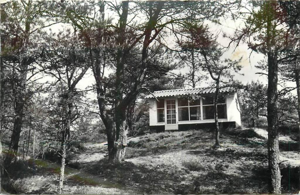 381-481-029 Ellert en Brammert, Verzamelen, Verzenden, Voor 1920, Drenthe