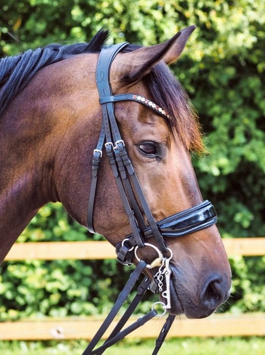 Bridle2Fit stang en trens hoofdstel full, Ophalen of Verzenden, Zo goed als nieuw, Hoofdstel, Full