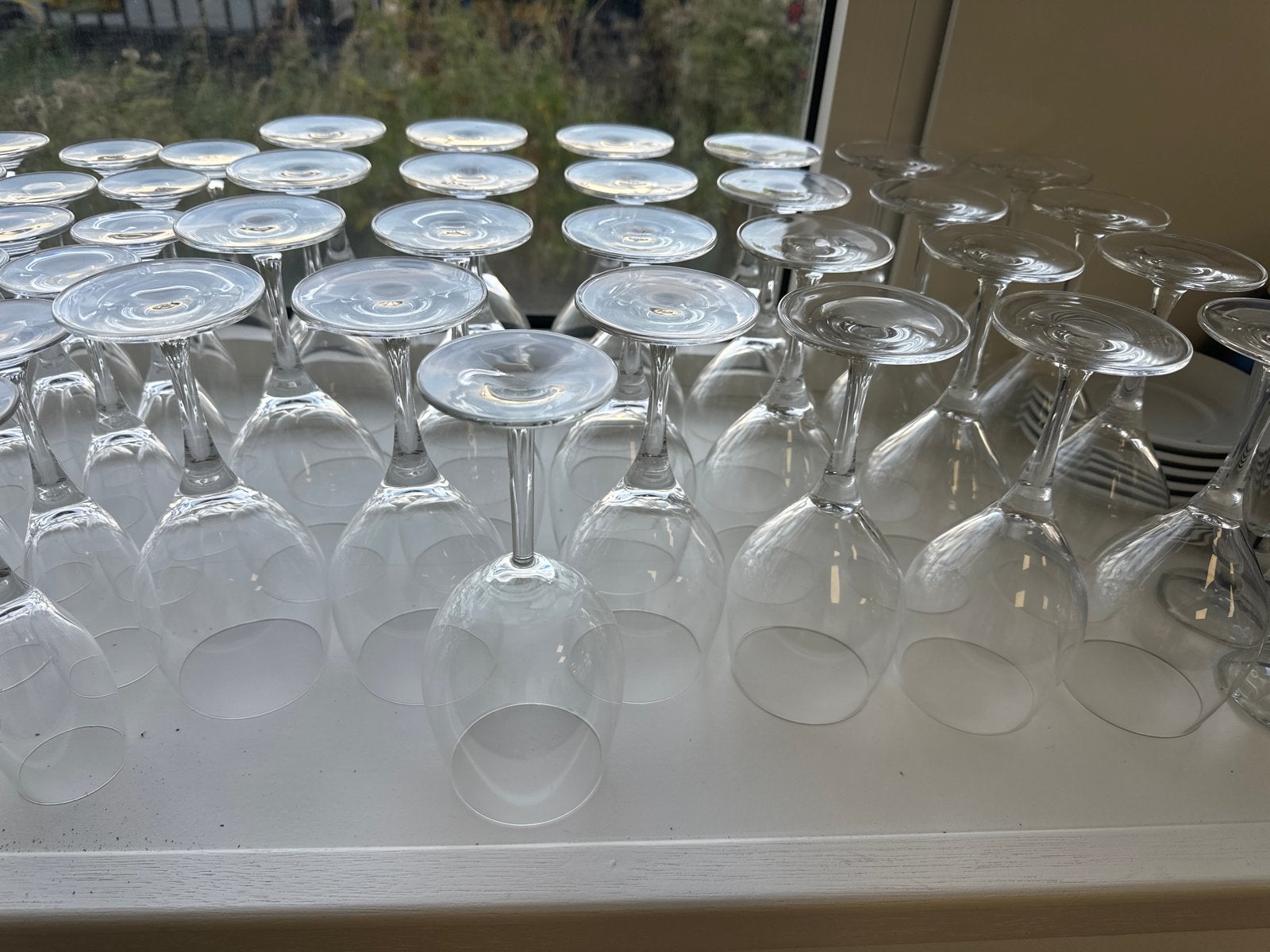 Set van 25 rode Wijnglazen schott zwiesel, Overige typen, Ophalen, Zo goed als nieuw, Glas