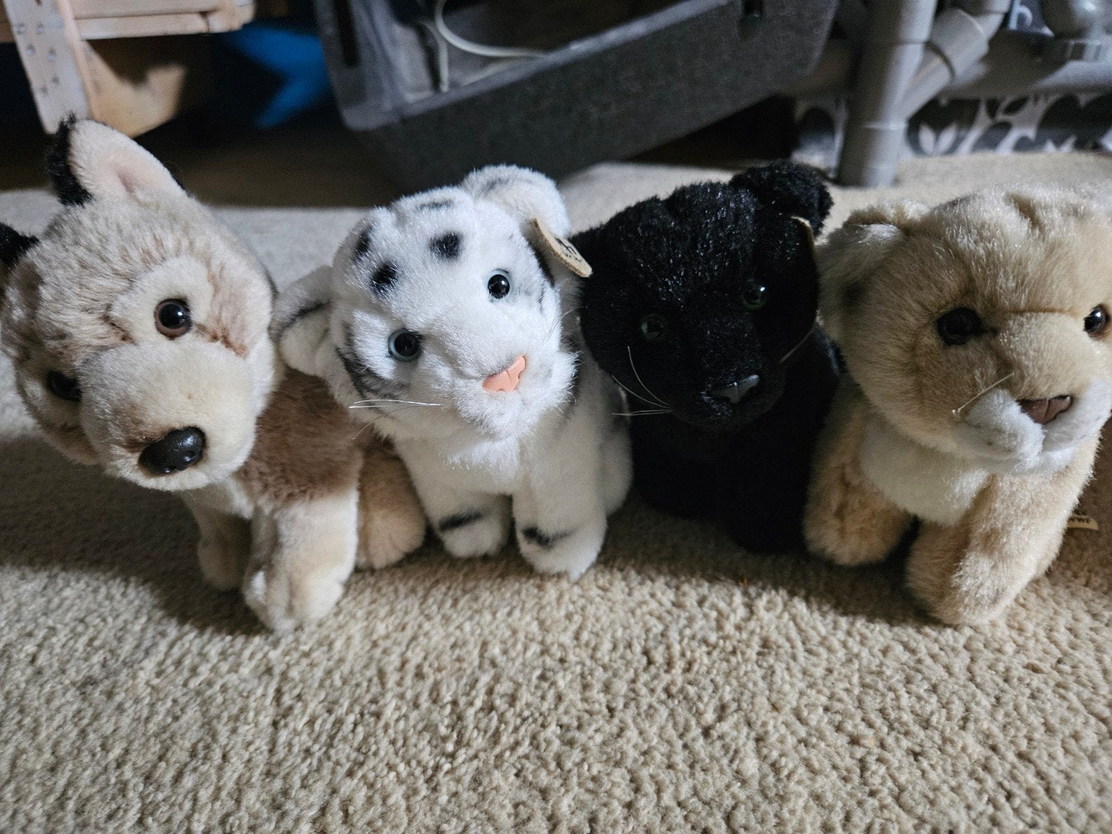 6 WWF knuffels - Diverse dieren, Ophalen of Verzenden