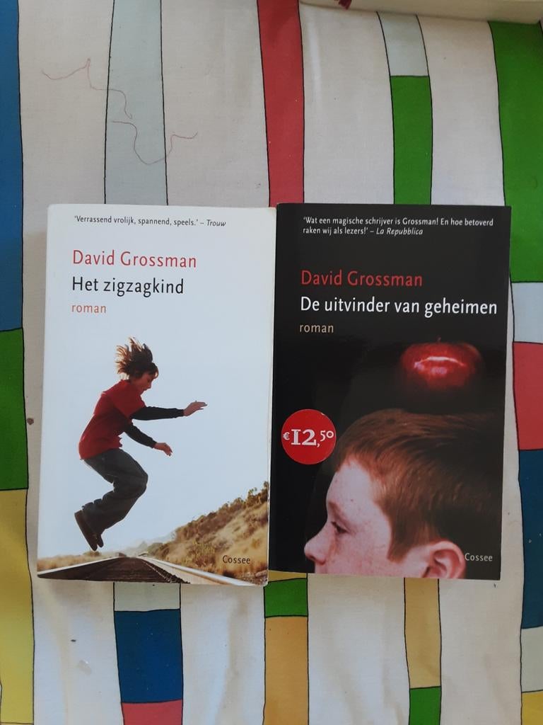 David Grossman, Boeken, Ophalen of Verzenden, Zo goed als nieuw