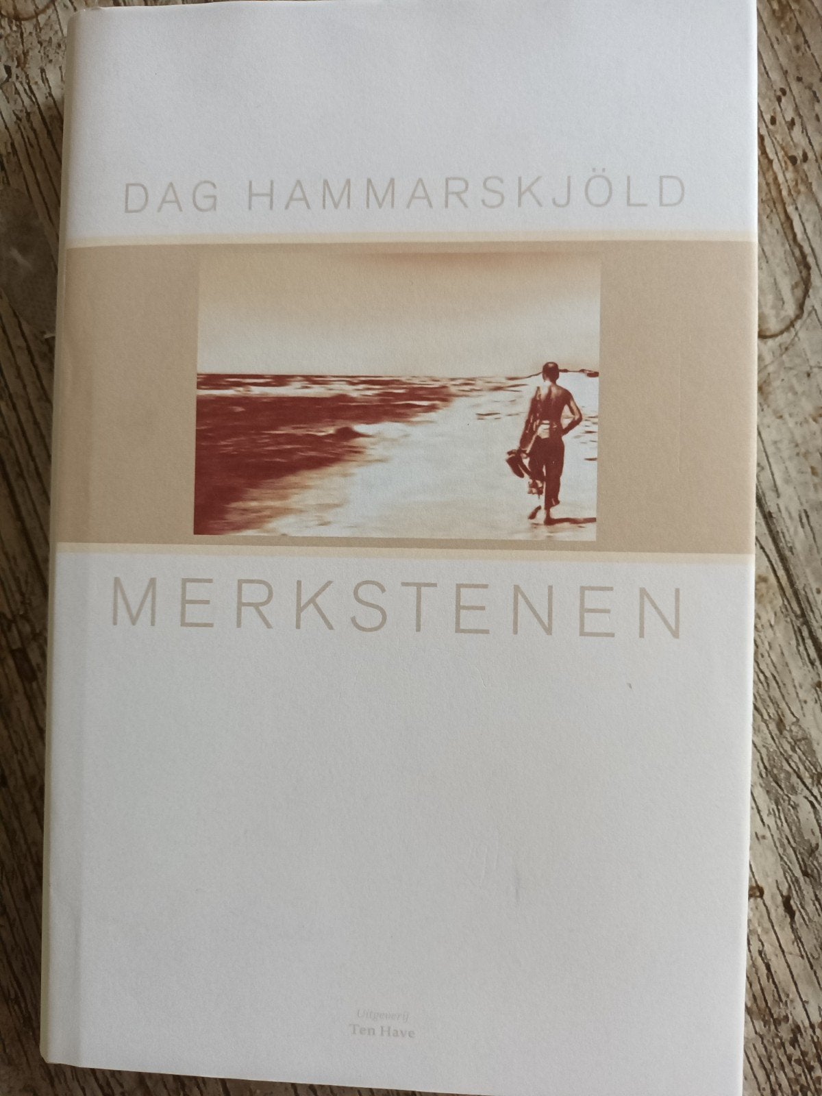 Merkstenen, Boeken, Ophalen of Verzenden, Gelezen